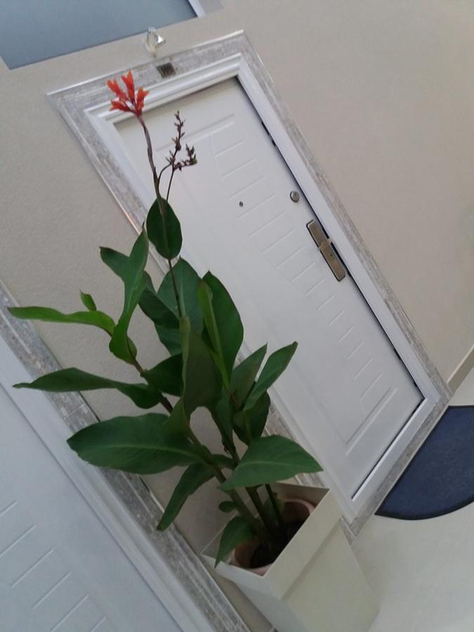 Atina Lux Hostel Leskovac  Luaran gambar